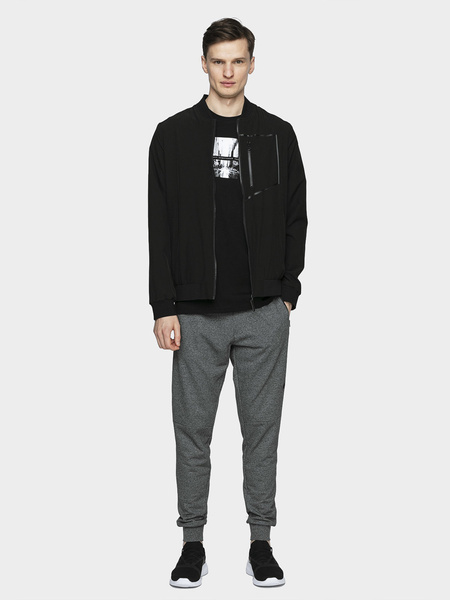 Spodnie dresowe męskie 4F H4L21-SPMD012-23P