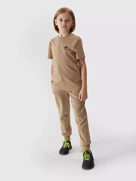 Koszulka dziecięca 4F 4FJAW23TTSHM0795-83S