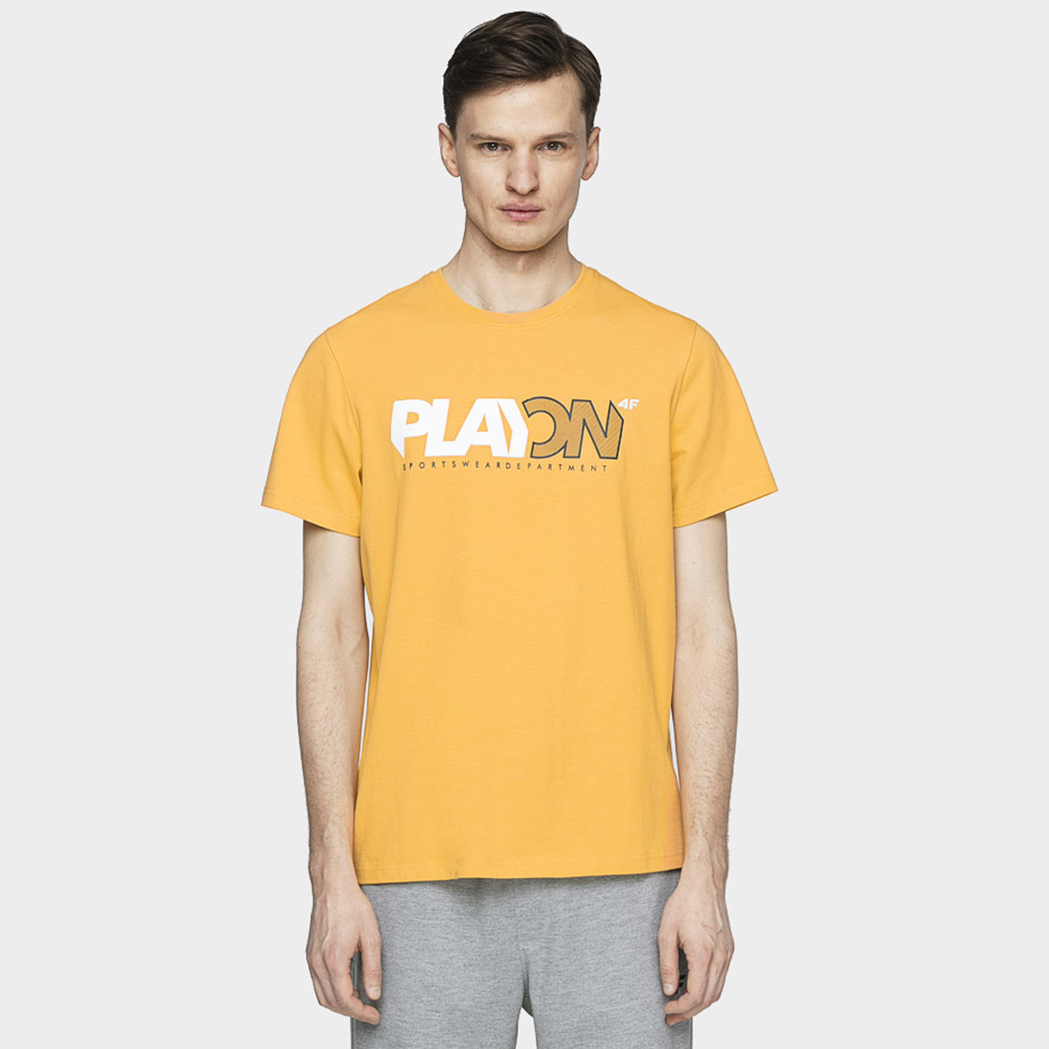 Koszulka męska 4F H4L21-TSM013-73S