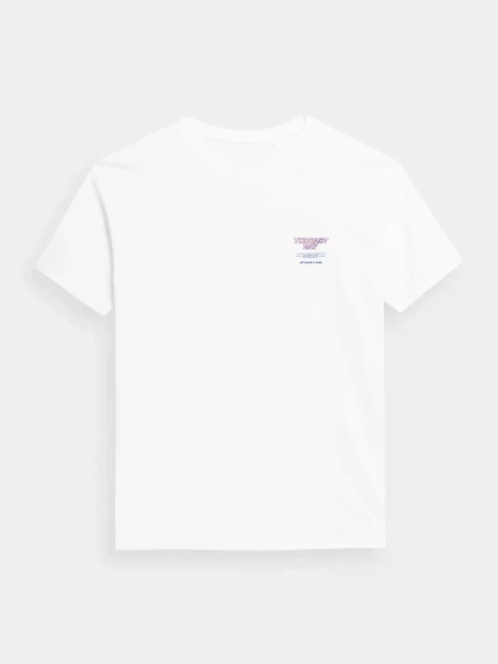 Koszulka męska 4F 4FSS23TTSHM358-10S