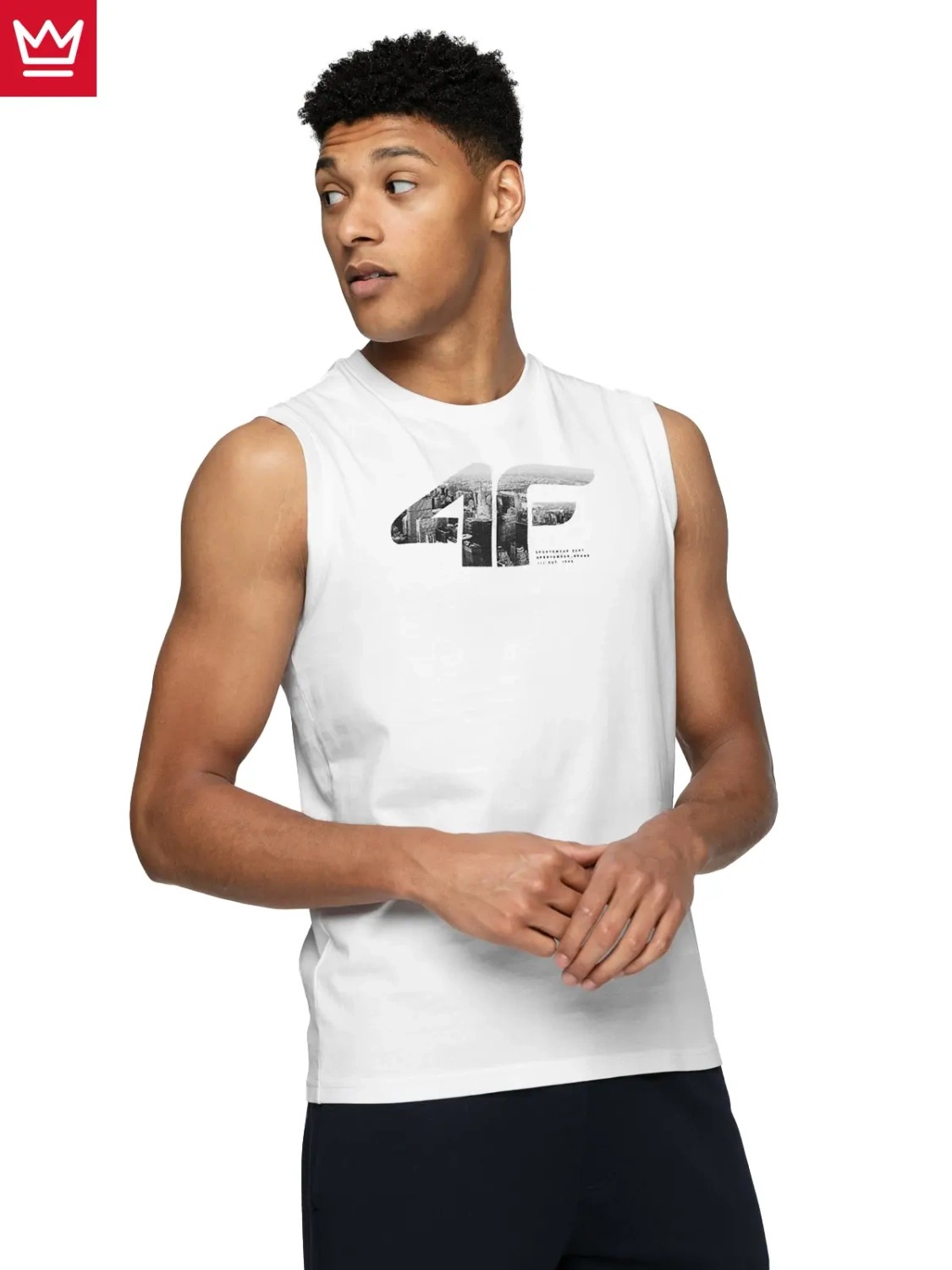 Koszulka męska 4F 4FWSS24TSLEM114-10S