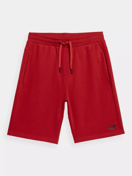 Spodenki męskie 4F 4FSS23TSHOM156-62S