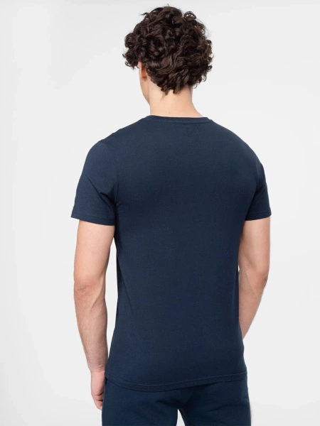 Koszulka męska 4F 4FWAW24TTSHM2421-91S 3PAK