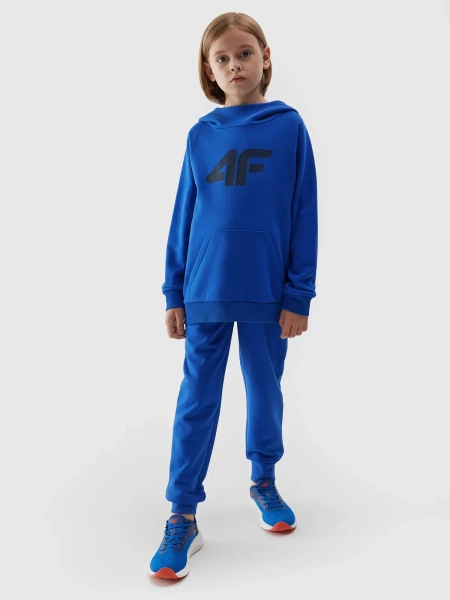 Bluza dziecięca z kapturem 4F 4FJAW23TSWSM626-36S 