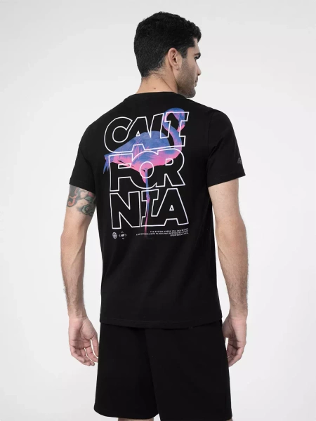 Koszulka męska 4F 4FSS23TTSHM360-20S