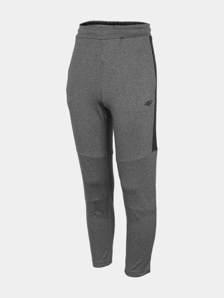 Spodnie dziecięce 4F HJZ22-JSPMTR001-23M