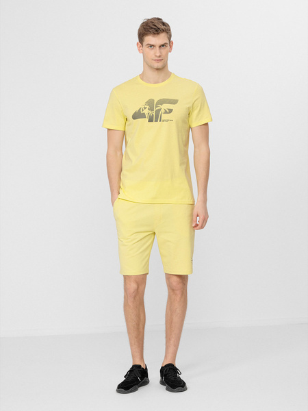 Koszulka męska 4F H4L22-TSM042-73S