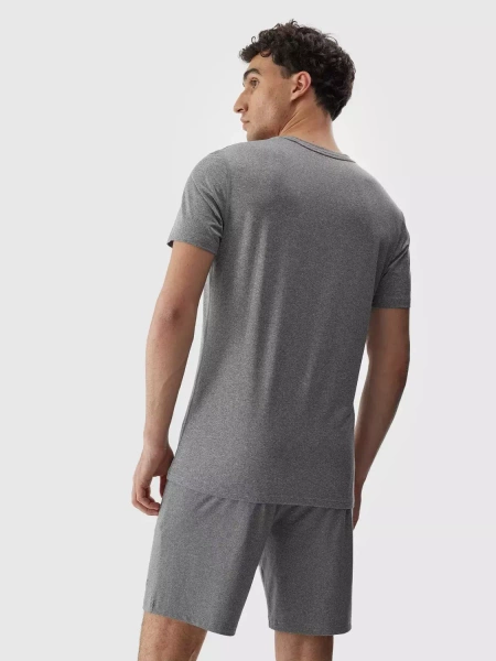 Koszulka męska 4F 4FAW23TFTSM449-27M