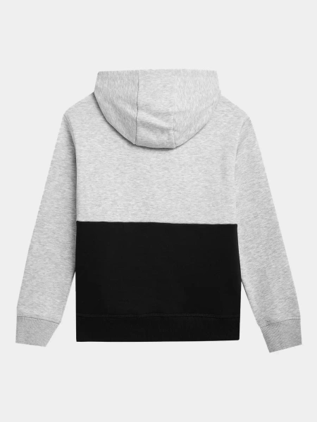 Bluza dziecięca z kapturem 4F 4FJAW23TSWSM628-27M 