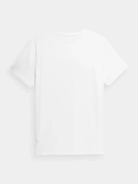 Koszulka męska 4F 4FSS23TTSHM309-10S