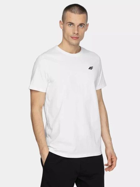 Koszulka męska 4F 4FAW22TTSHM697-90S 3-PAK