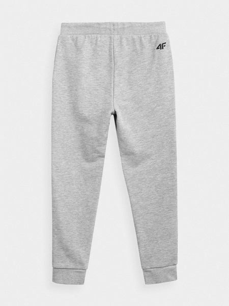 Spodnie dresowe dziecięce 4F  HJL22-JSPMD001-25M