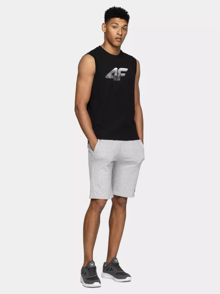 Koszulka męska 4F 4FWSS23TSLEM052-20S