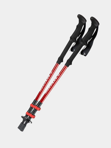 Kije trekkingowe BERGSON BTP-03