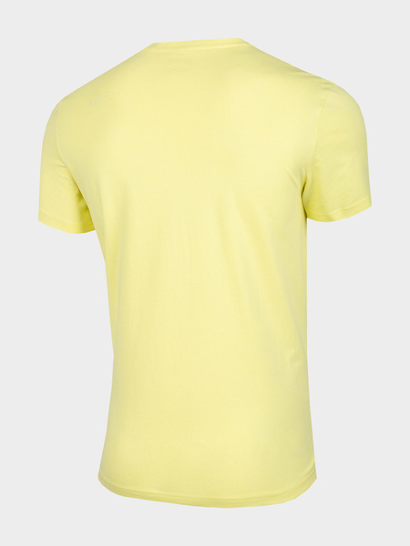 Koszulka męska 4F H4L22-TSM035-73S