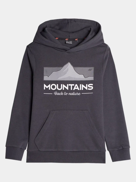 Bluza dziecięca z kapturem 4F 4FJAW23TSWSM634-22S 