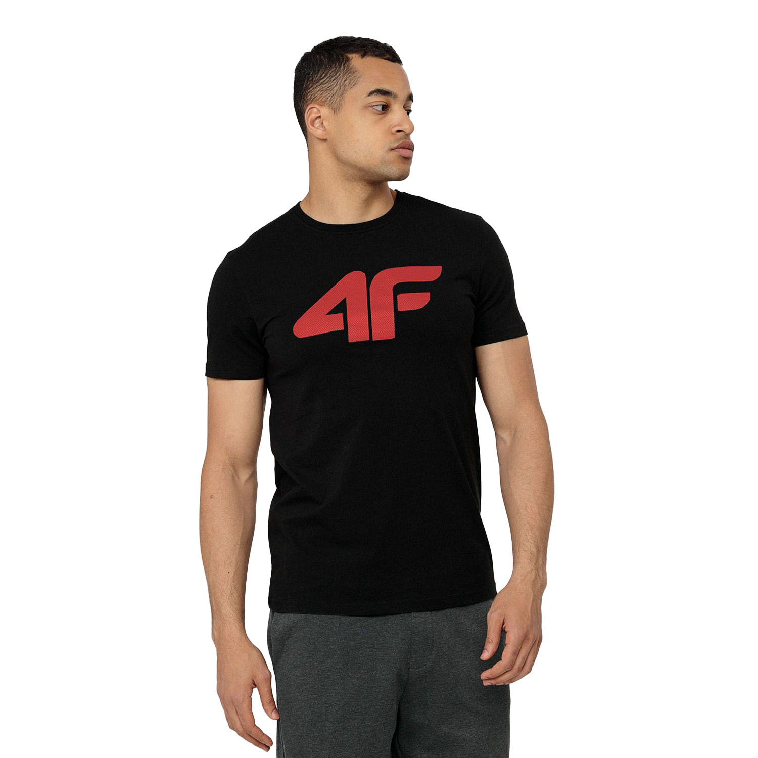 Koszulka męska 4F H4L22-TSM353-21S