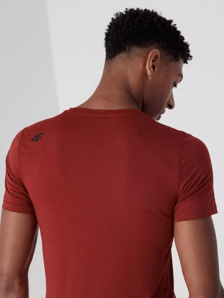 Koszulka męska 4F 4FSS23TFTSM260-62M