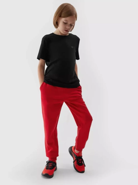 Koszulka dziecięca 4F 4FJAW23TTSHM0795-20S