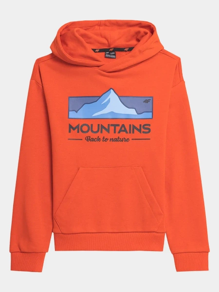 Bluza dziecięca z kapturem 4F 4FJAW23TSWSM634-70S 