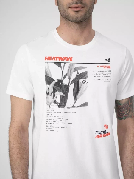 Koszulka męska 4F 4FSS23TTSHM356-10S