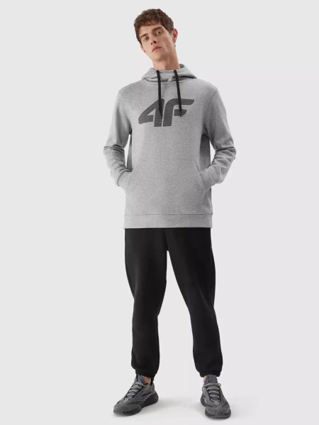 Bluza męska z kapturem 4F 4FAW23TSWSM694-27M