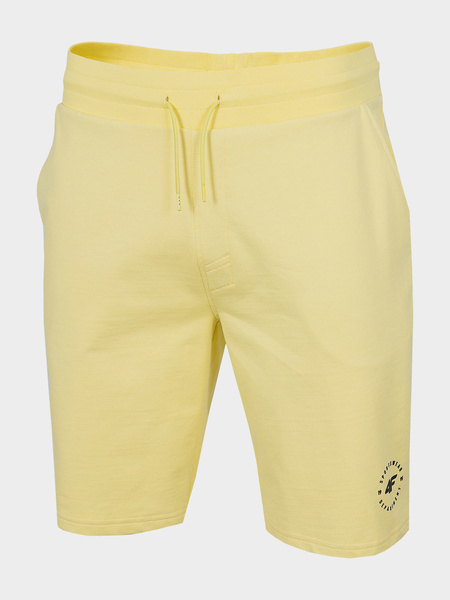 Spodenki męskie 4F H4L22-SKMD014-73S