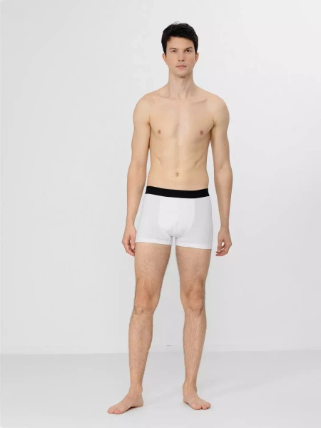 Bokserki męskie 4F H4Z22-BIM350-92S