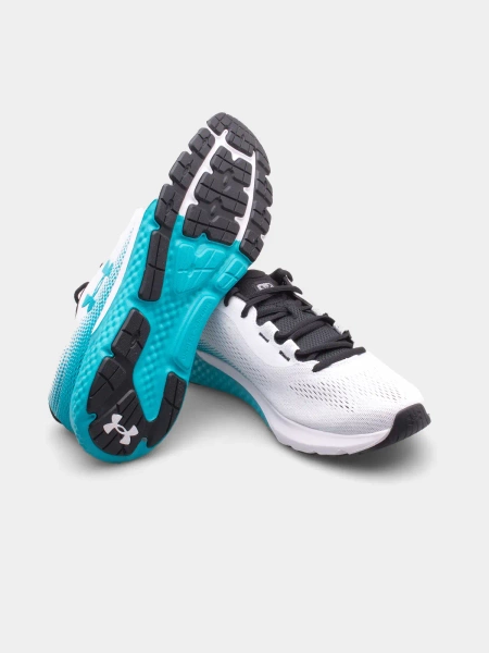 Buty męskie Under Armour Charged Rouge 4 3026998-102