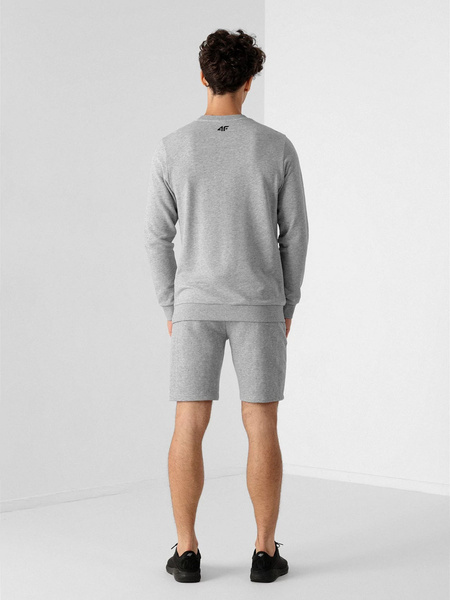 Bluza męska 4F NOSH4-BLM350-27M