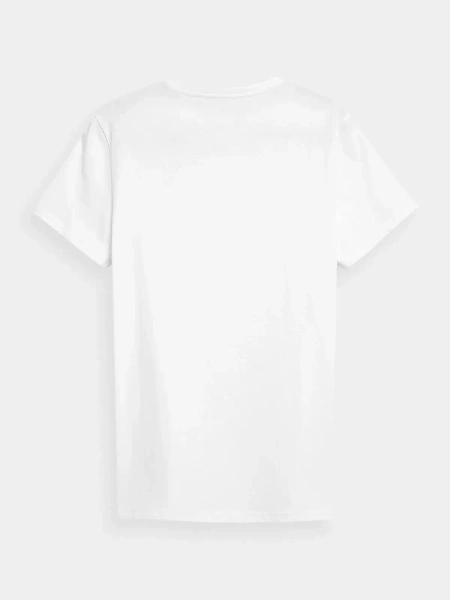 Koszulka męska 4F 4FWSS24TTSHM1899-10S