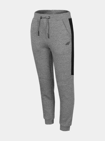 Spodnie dresowe dziecięce 4F HJZ22-JSPMD002-24M