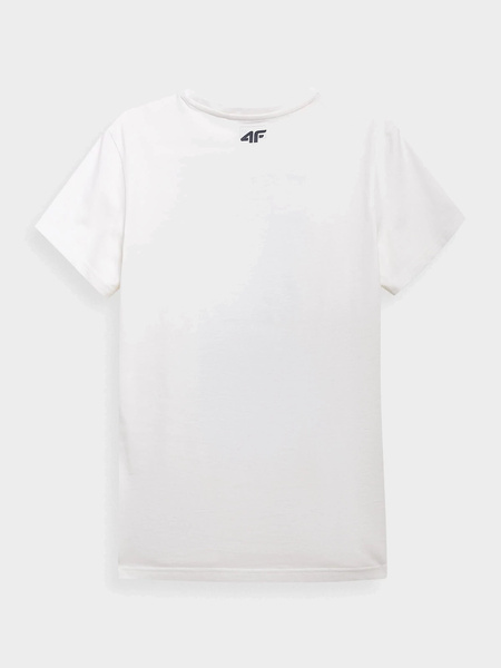 Koszulka męska 4F H4L21-TSM011-11S