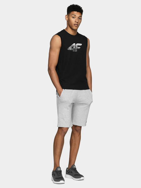 Koszulka męska 4F 4FSS22TTSHM269-20S 