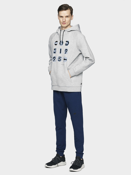 Spodnie dresowe męskie 4F H4L21-SPMD011-31S