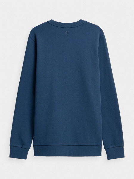 Bluza męska 4F NOSH4-BLM350-32S