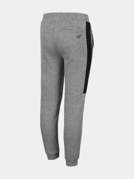 Spodnie dresowe dziecięce 4F HJZ22-JSPMD002-24M