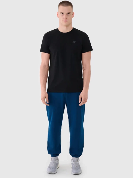 Spodnie dresowe męskie 4F 4FWMM00TTROM1139-46S