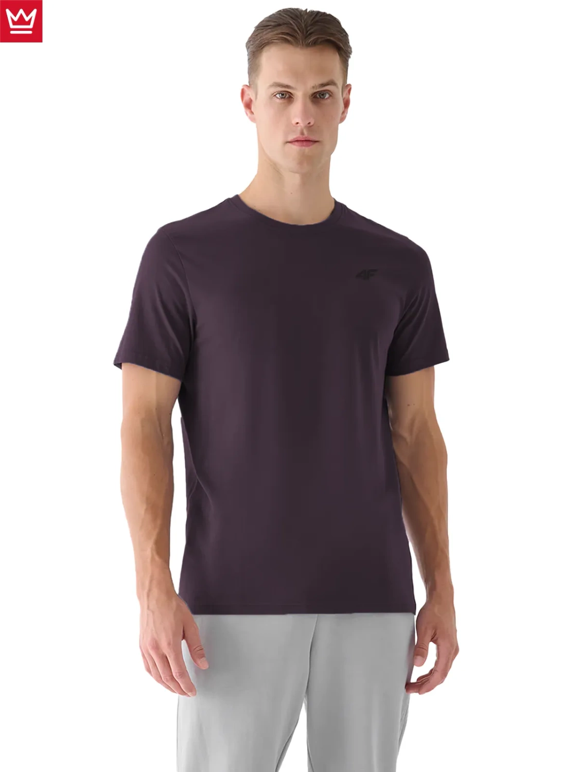 Koszulka męska 4F 4FWAW24TTSHM2425-50S