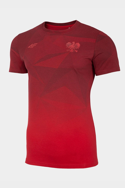 Koszulka męska 4F D4L20-TSM502-62S