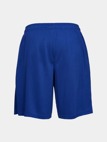 Spodenki męskie Under Armour 1328705-400