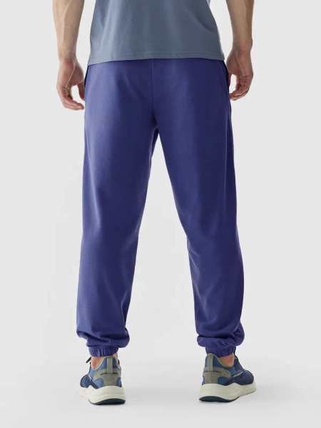 Spodnie dresowe męskie 4F 4FWAW24TTROM1277-31S