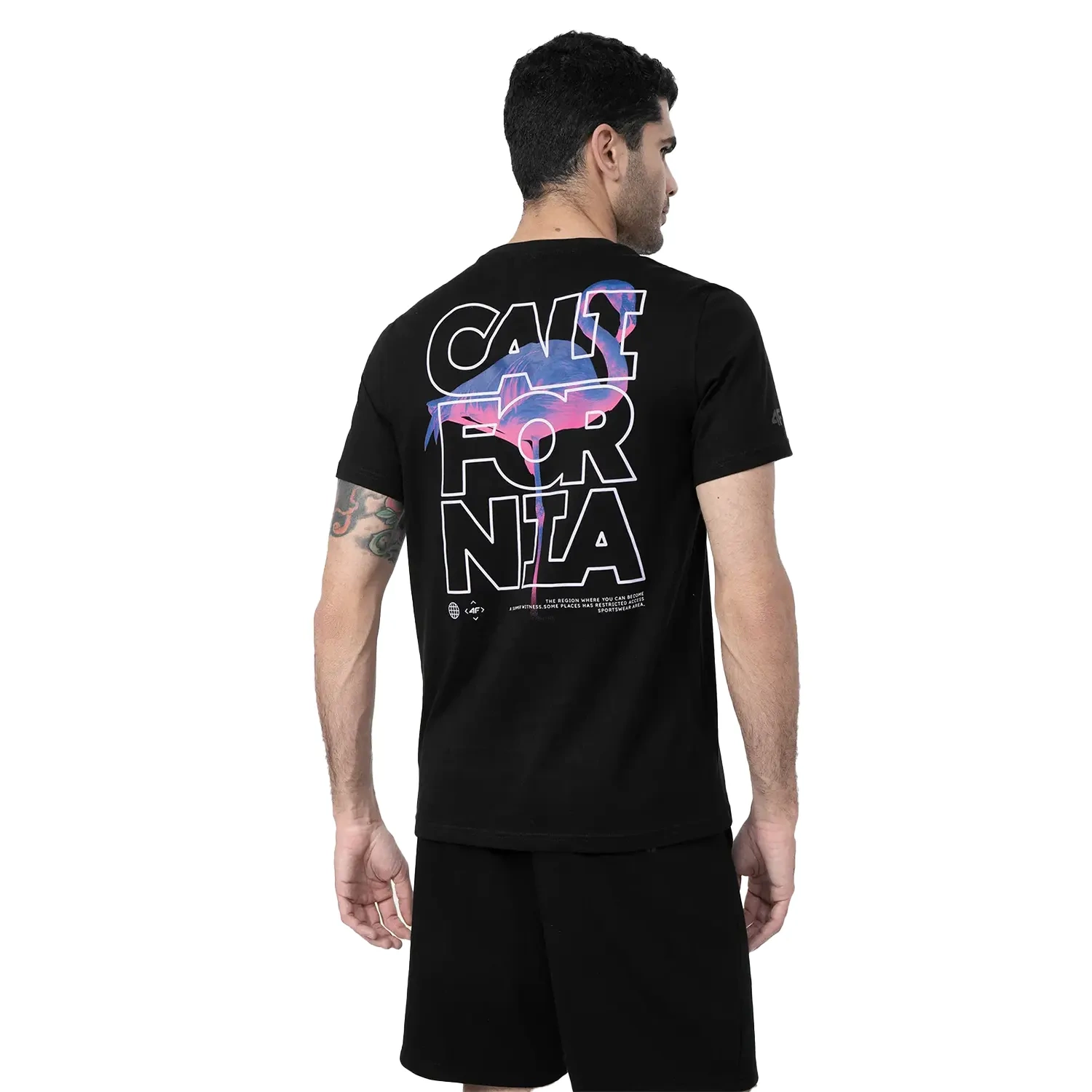 Koszulka męska 4F 4FSS23TTSHM360-20S