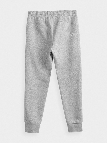 Spodnie dresowe dziecięce 4F HJZ21-JSPDD001A-27M