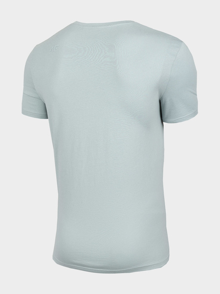 Koszulka męska 4F H4L22-TSM042-47S