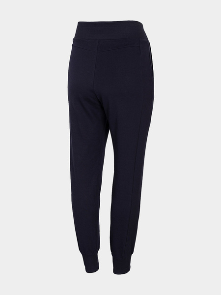 Spodnie dresowe damskie 4F H4L21-SPDD013-31S