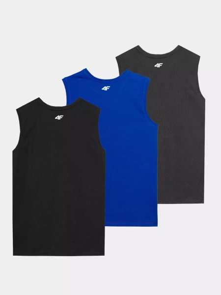 Koszulka męska 4F 4FWSS23TSLEM053-90S 3-PAK