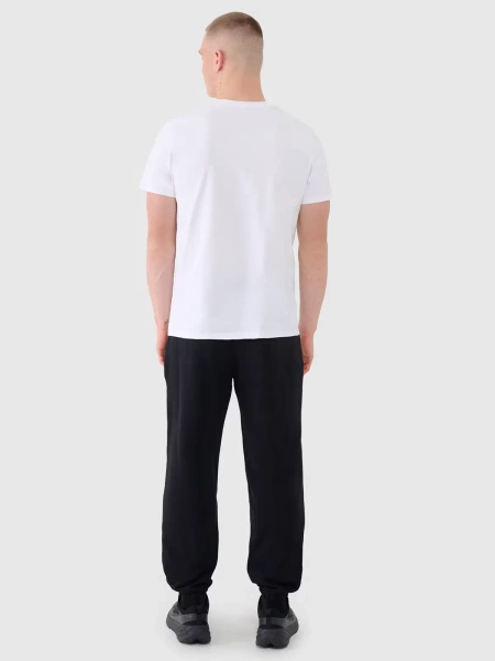 Spodnie dresowe męskie 4F 4FWMM00TTROM1139-20S