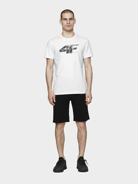 Koszulka męska 4F H4L21-TSM024-10S