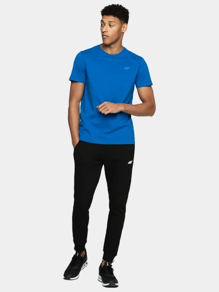 Spodnie dresowe męskie 4F 4FWAW23TTROM0800-20S 